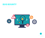 What is Bug Bounty?